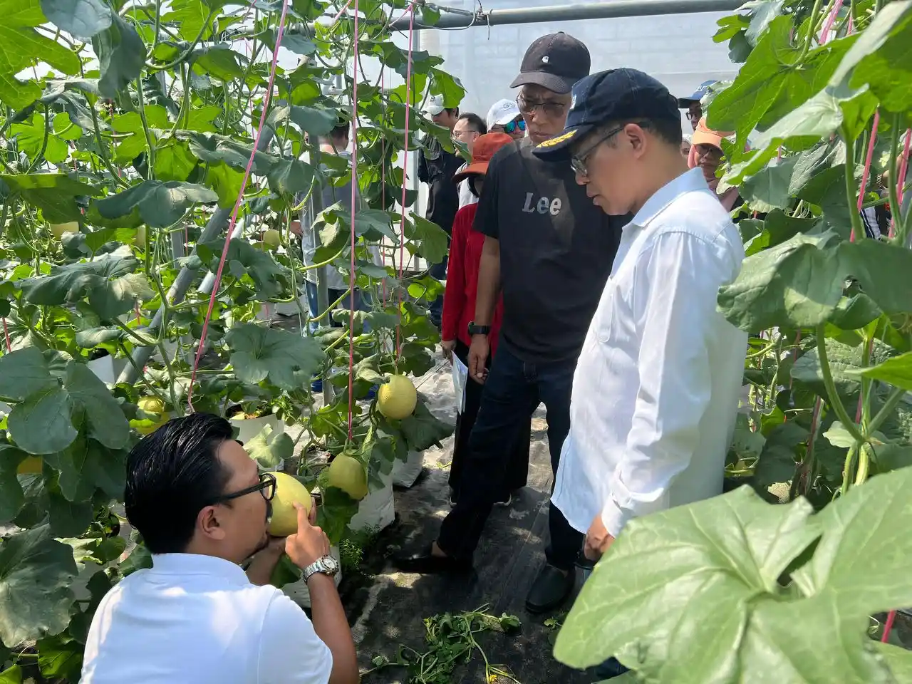 KMK Agro Global Farm Exploration