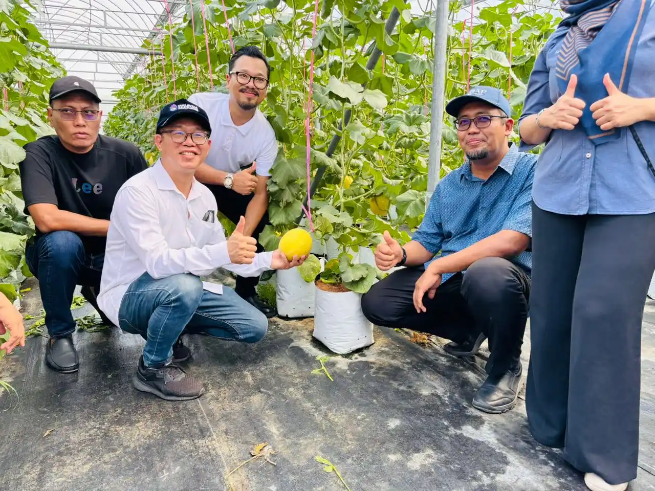 KMK Agro Global Farm Exploration