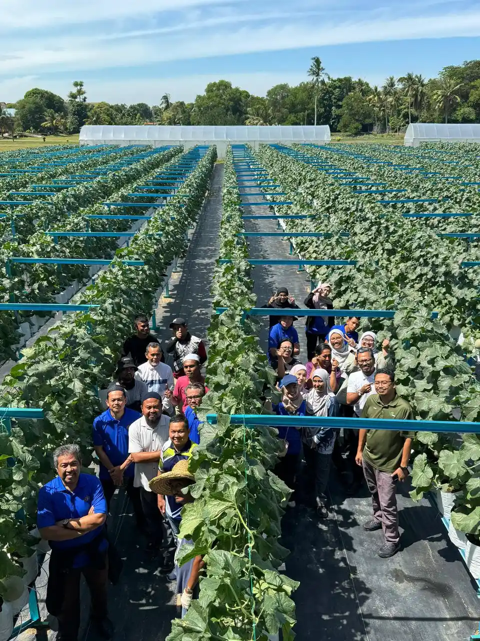 KMK Agro Global Team