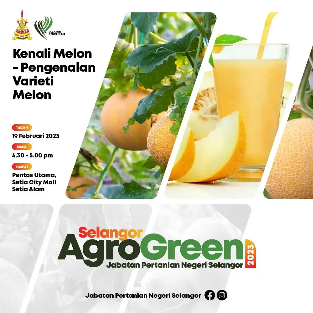 Kenali Melon – Pengenalan Varieti Melon (Selangor AgroGreen 2023) Poster