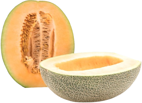 Rockmelon Sakata Glamour