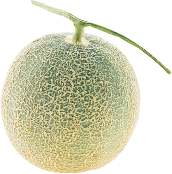 Royal Aruz Japanese Melon