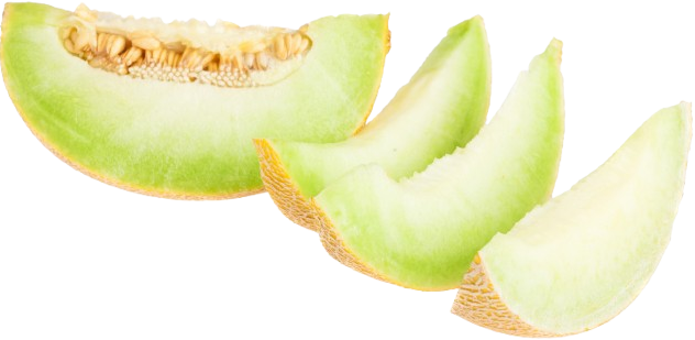 Royal Melon Selangor